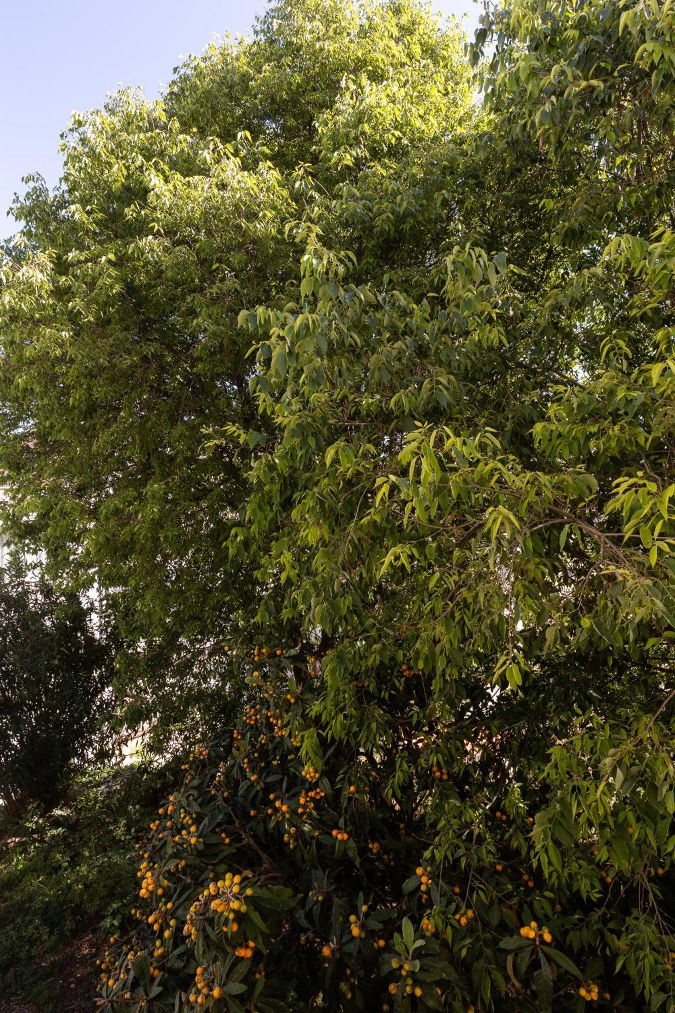 Bliss Apartment Near Bellevue Beach Ragusa Esterno foto